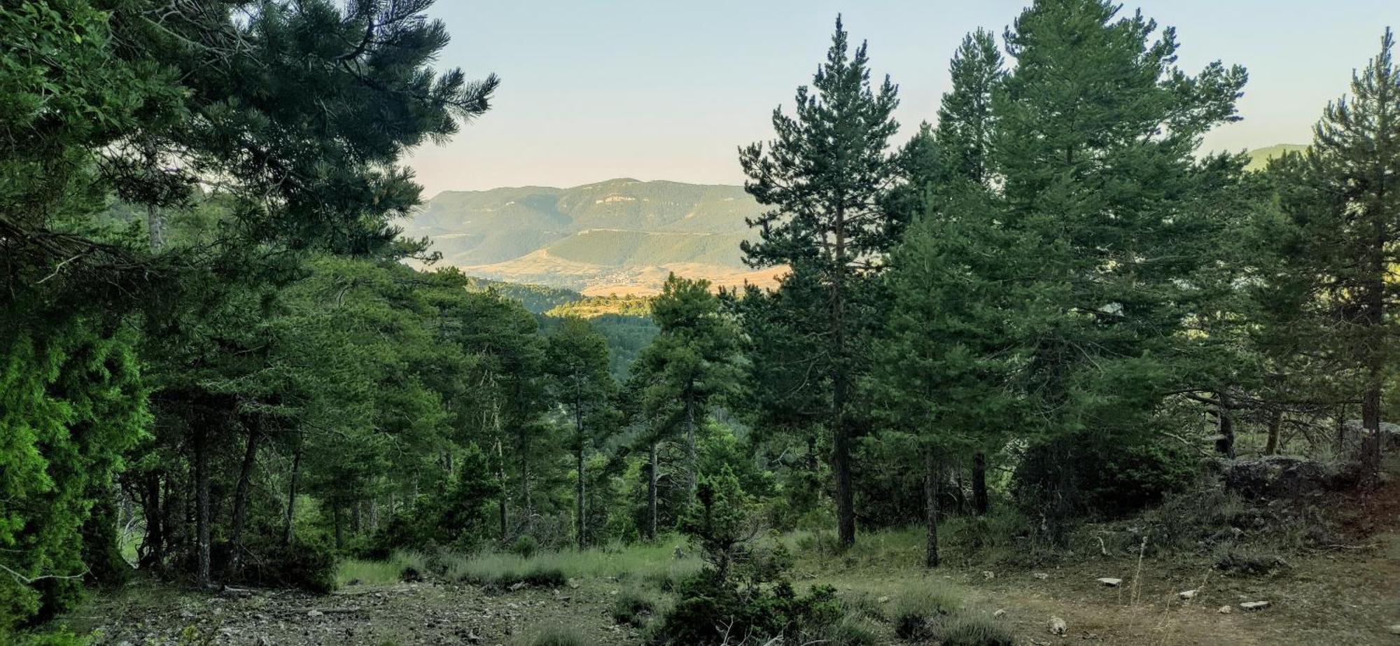 Alojamiento Rural Los Hacheros Tragacete Cameră foto
